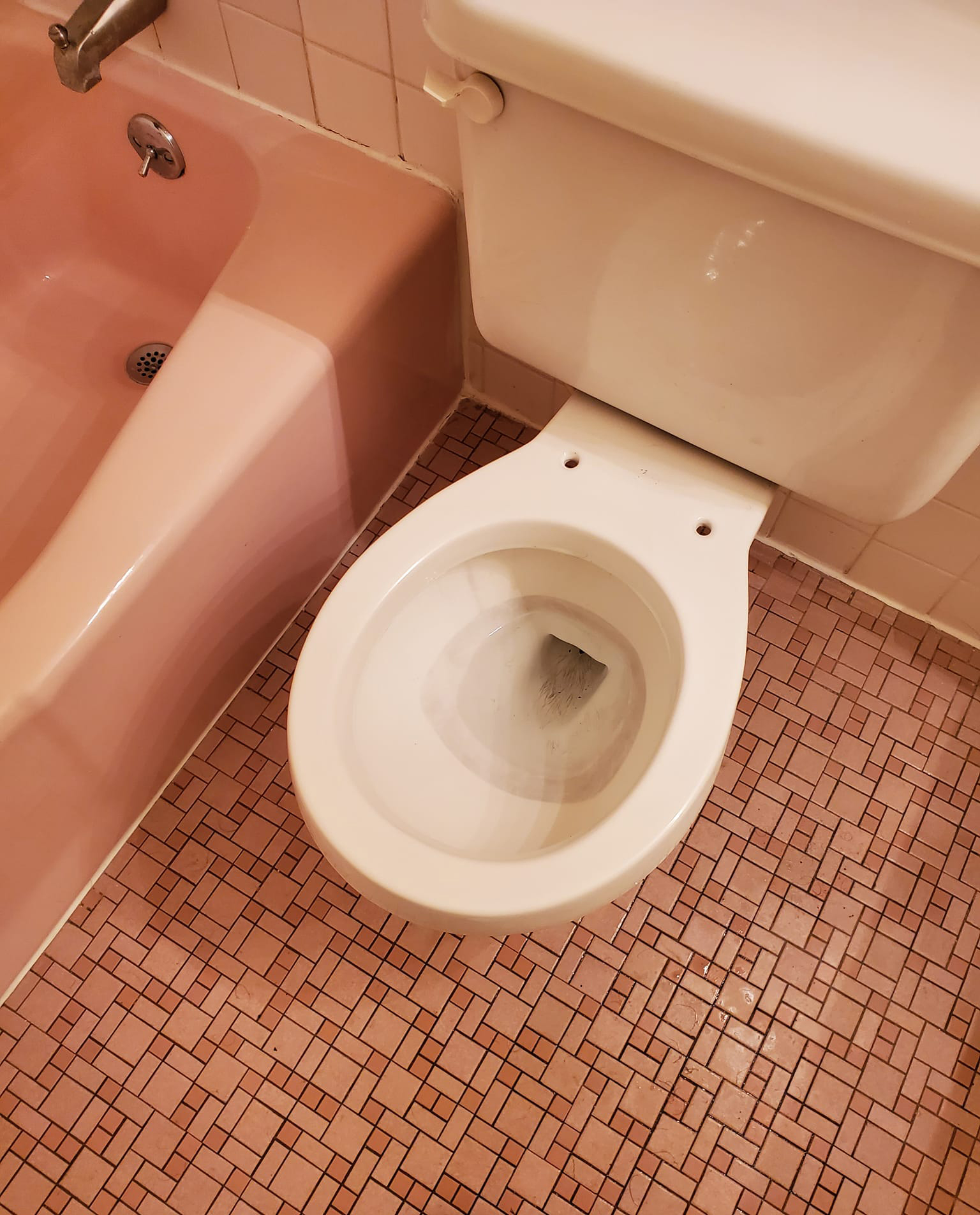 Toilet Deep Cleaning After 