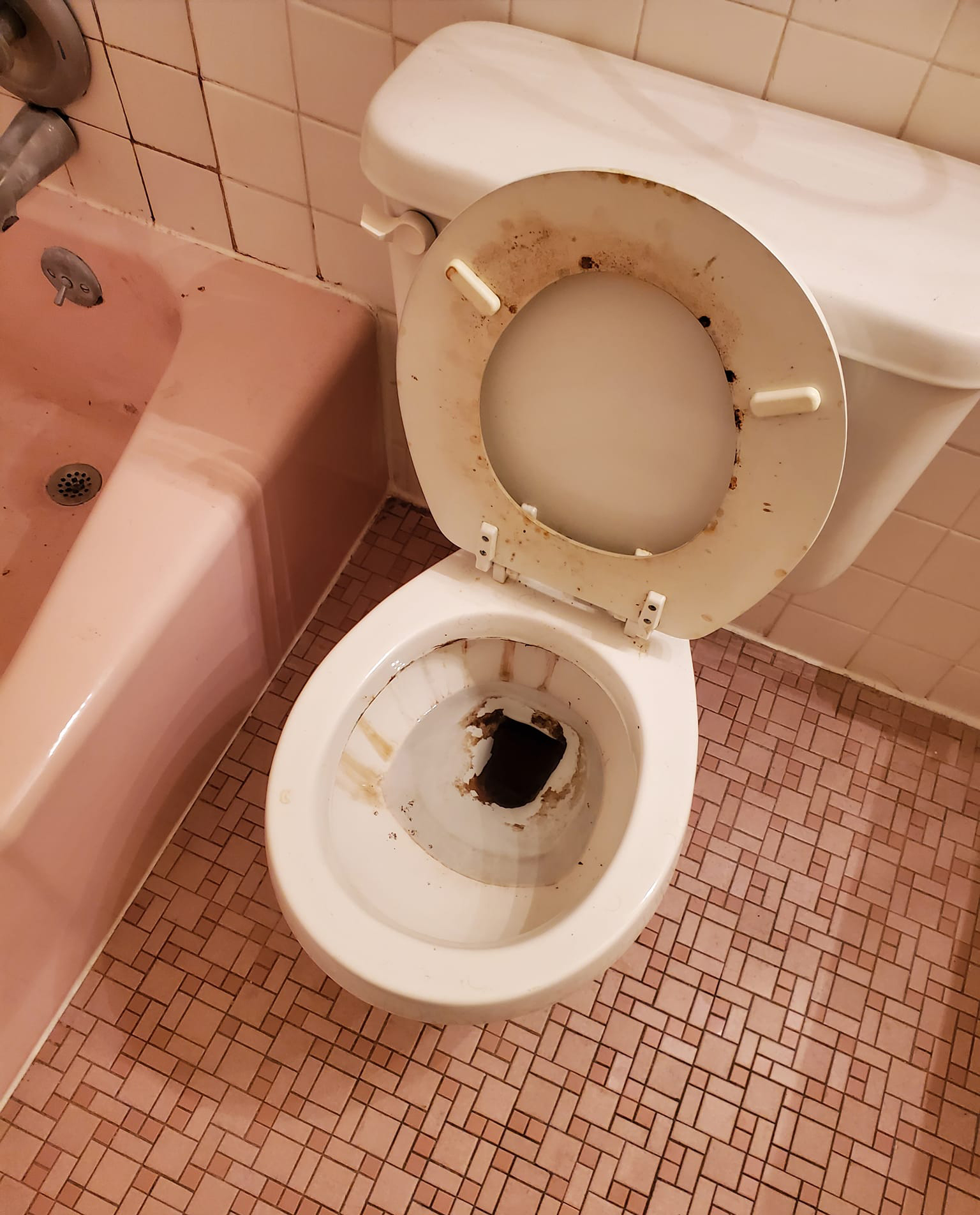 Toilet Deep Cleaning Before